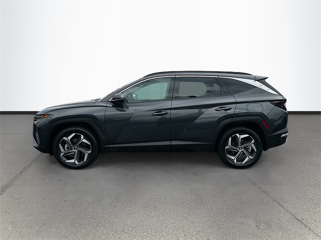 2023 Hyundai Tucson Limited photo 2