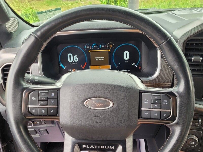 2023 Ford F-150 Platinum photo 20
