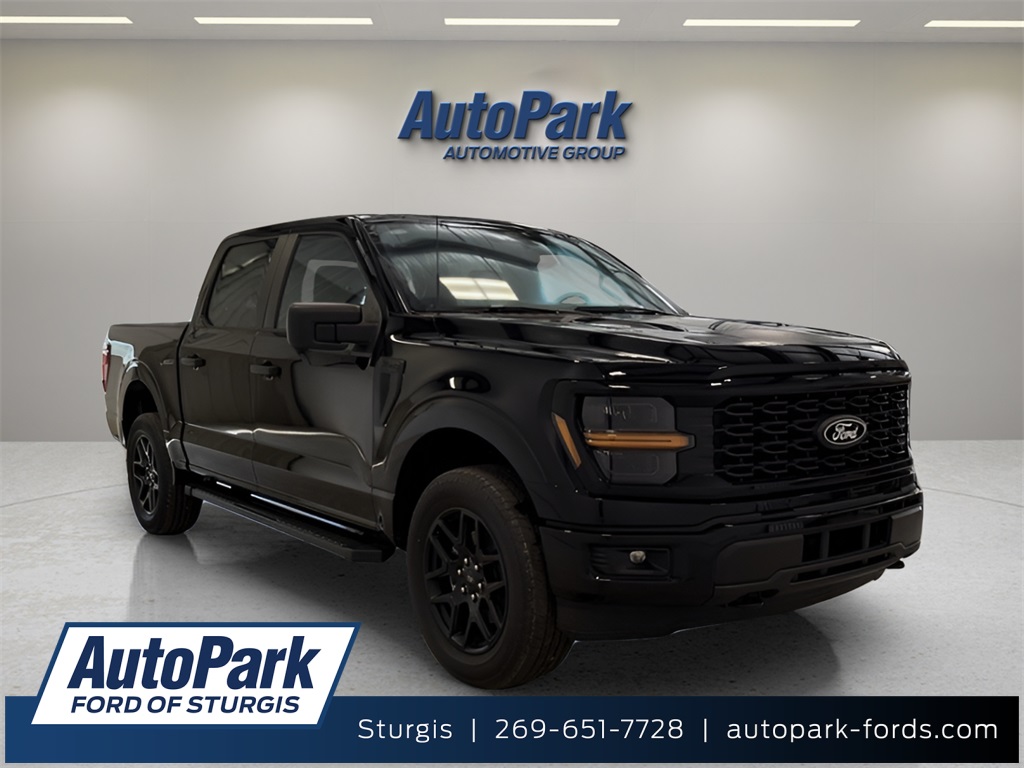 2025 Ford F-150 STX's photo