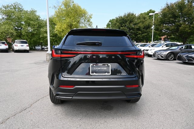2025 Lexus NX 250 Premium photo 4
