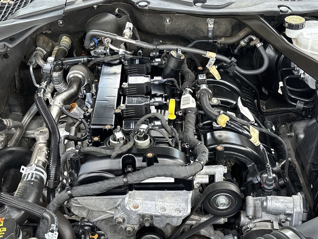 2023 Ford Mustang EcoBoost Premium photo 10