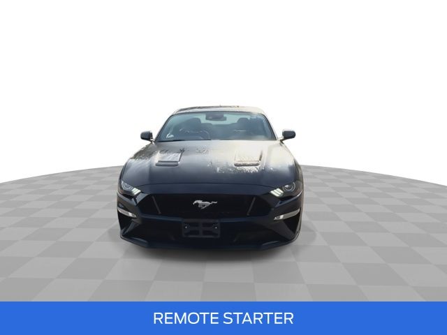 2021 Ford Mustang GT photo 3