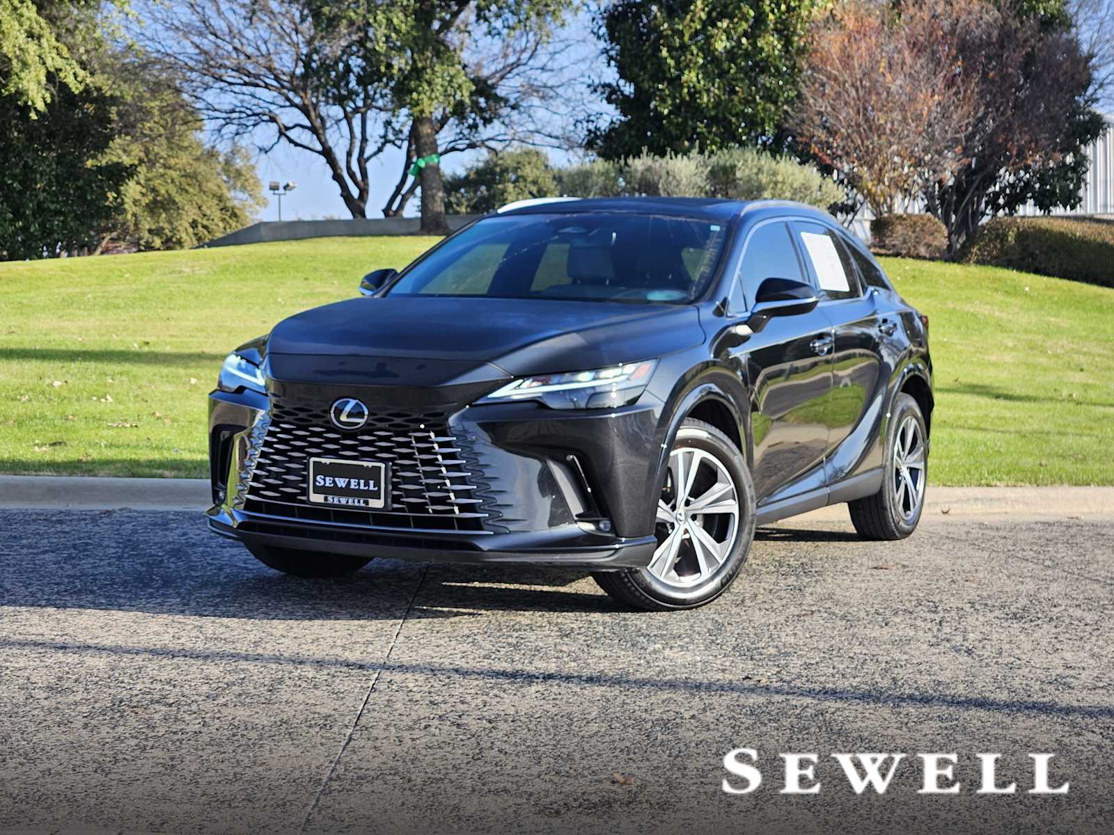 2023 Lexus RX 350's photo