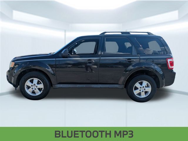2011 Ford Escape XLT photo 3
