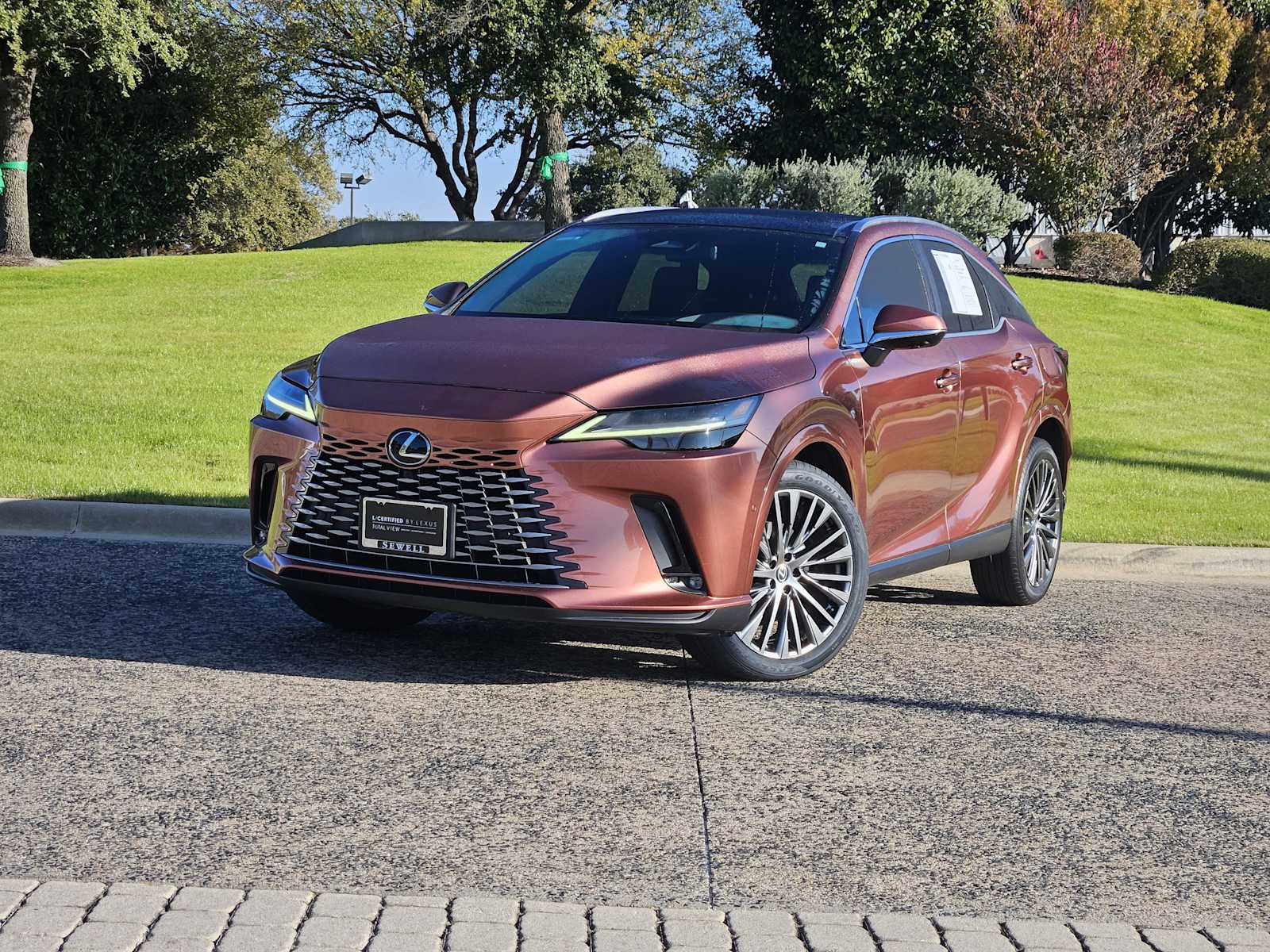 2023 Lexus RX 350's photo