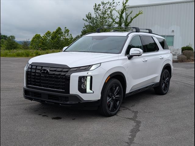 2025 Hyundai Palisade XRT photo 3