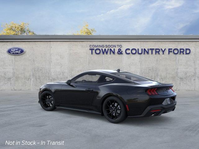 2025 Ford Mustang EcoBoost photo 14
