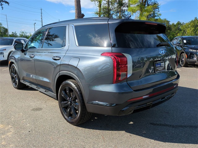 2024 Hyundai Palisade XRT photo 2