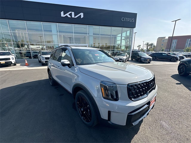2025 Kia Telluride EX X-Line's photo