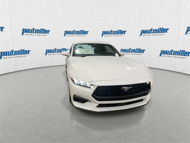 2025 Ford Mustang EcoBoost photo 3