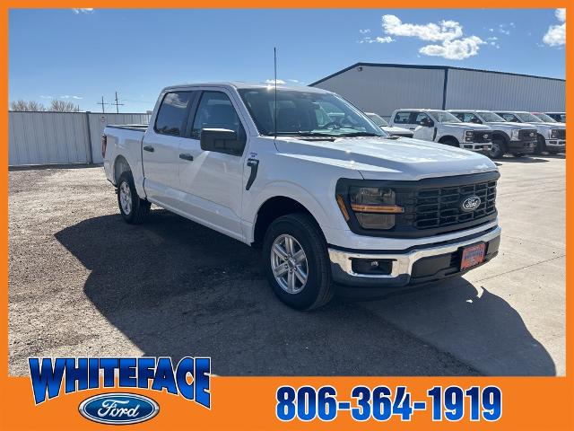 2025 Ford F-150 XL photo 4