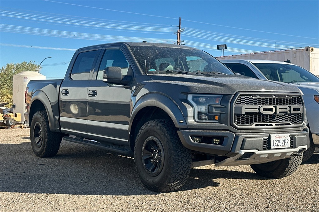 2018 Ford F-150 Raptor photo 2