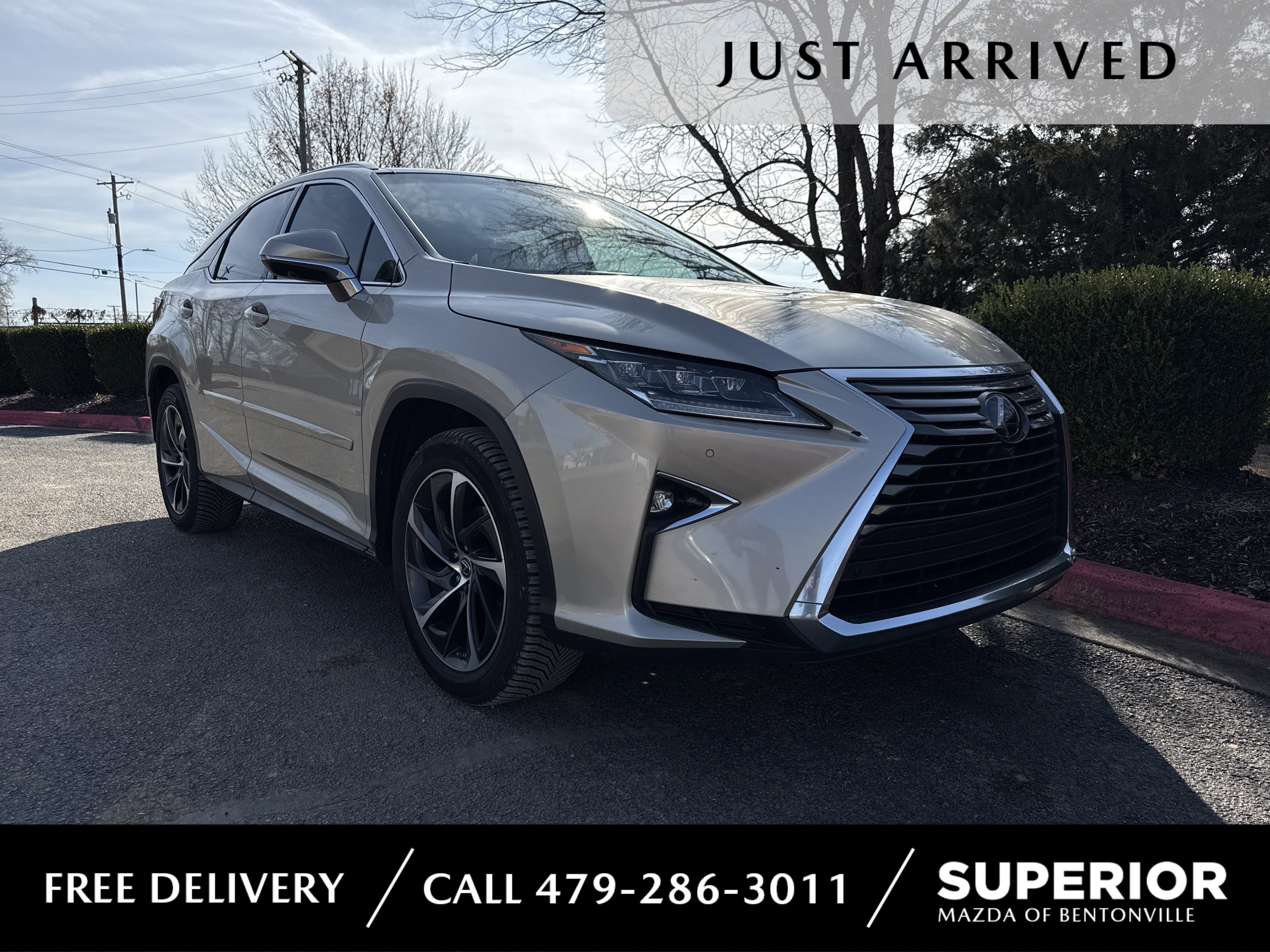 2018 Lexus RX 350's photo