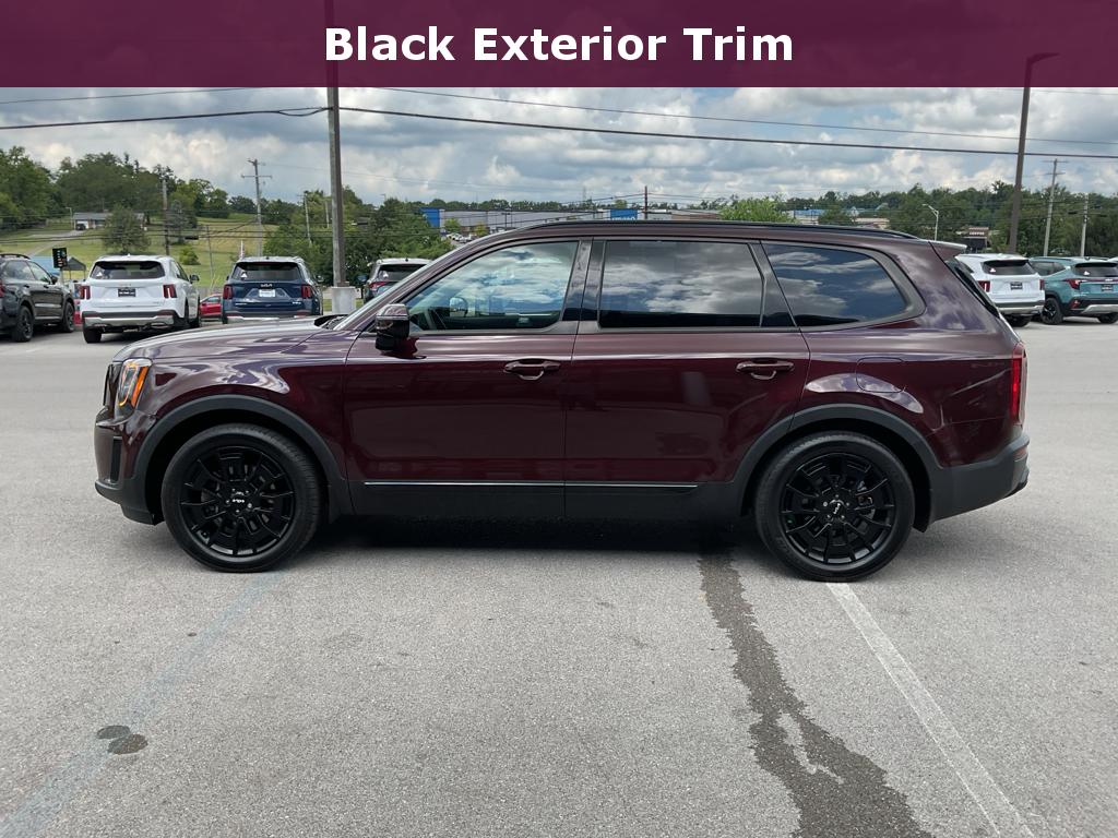 2022 Kia Telluride SX photo 3