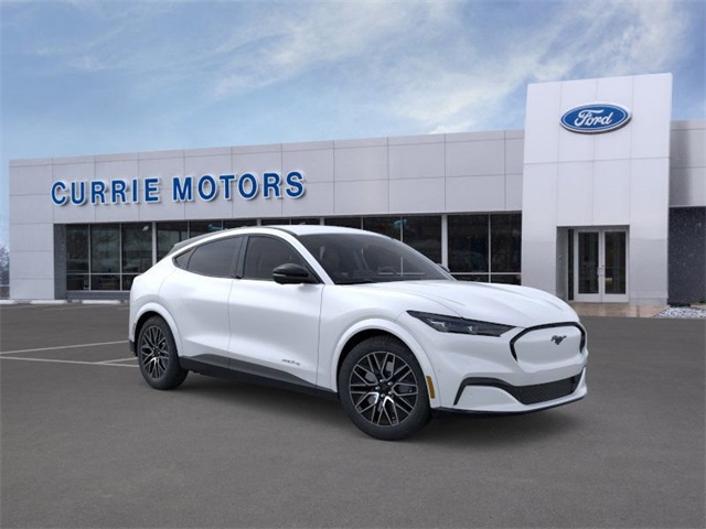 2025 Ford Mustang Mach-E Premium photo 7