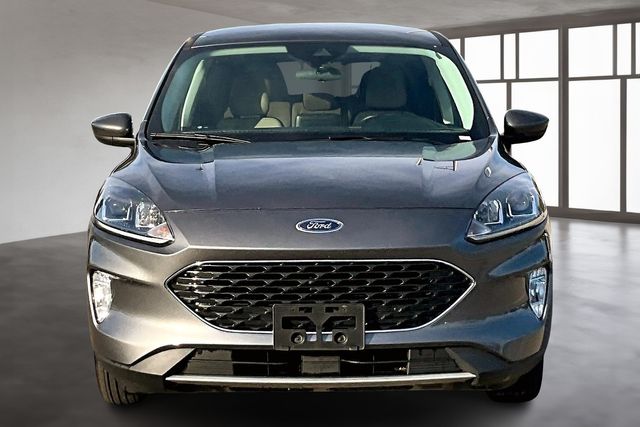 2022 Ford Escape Hybrid SEL photo 4