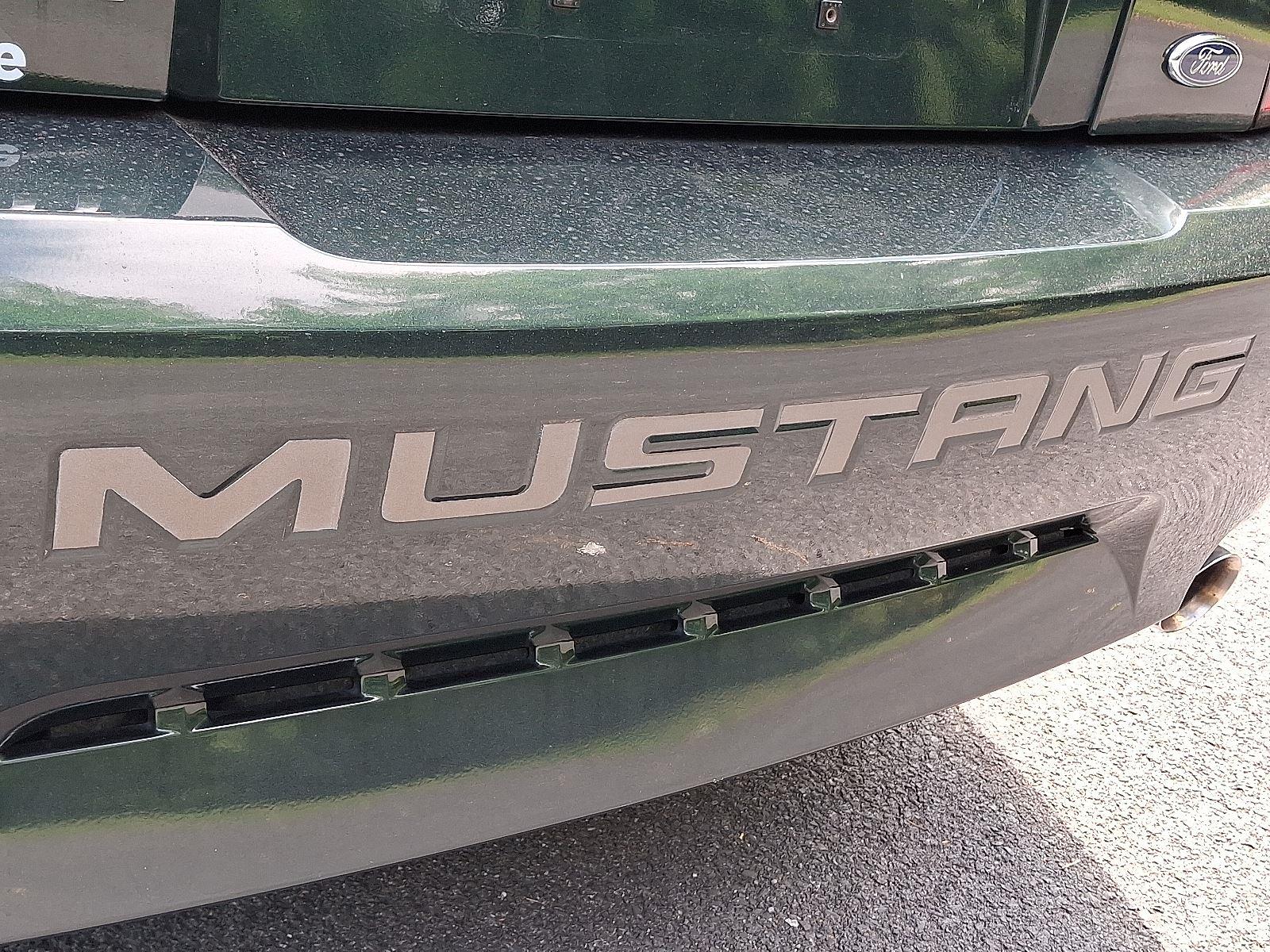 2001 Ford Mustang GT Bullitt photo 27
