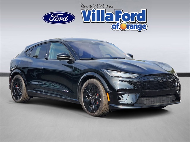 2025 Ford Mustang Mach-E GT AWD's photo