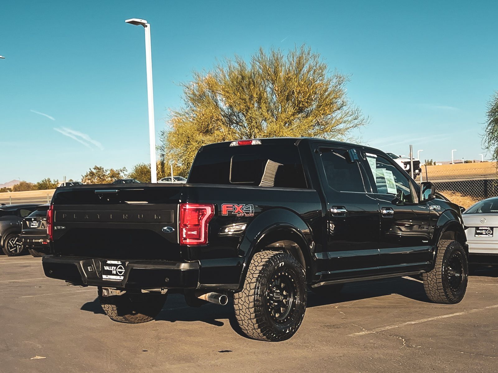 2016 Ford F-150 Platinum photo 3