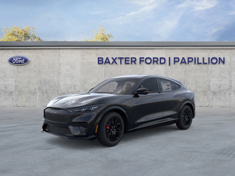 2025 Ford Mustang Mach-E Premium photo 15