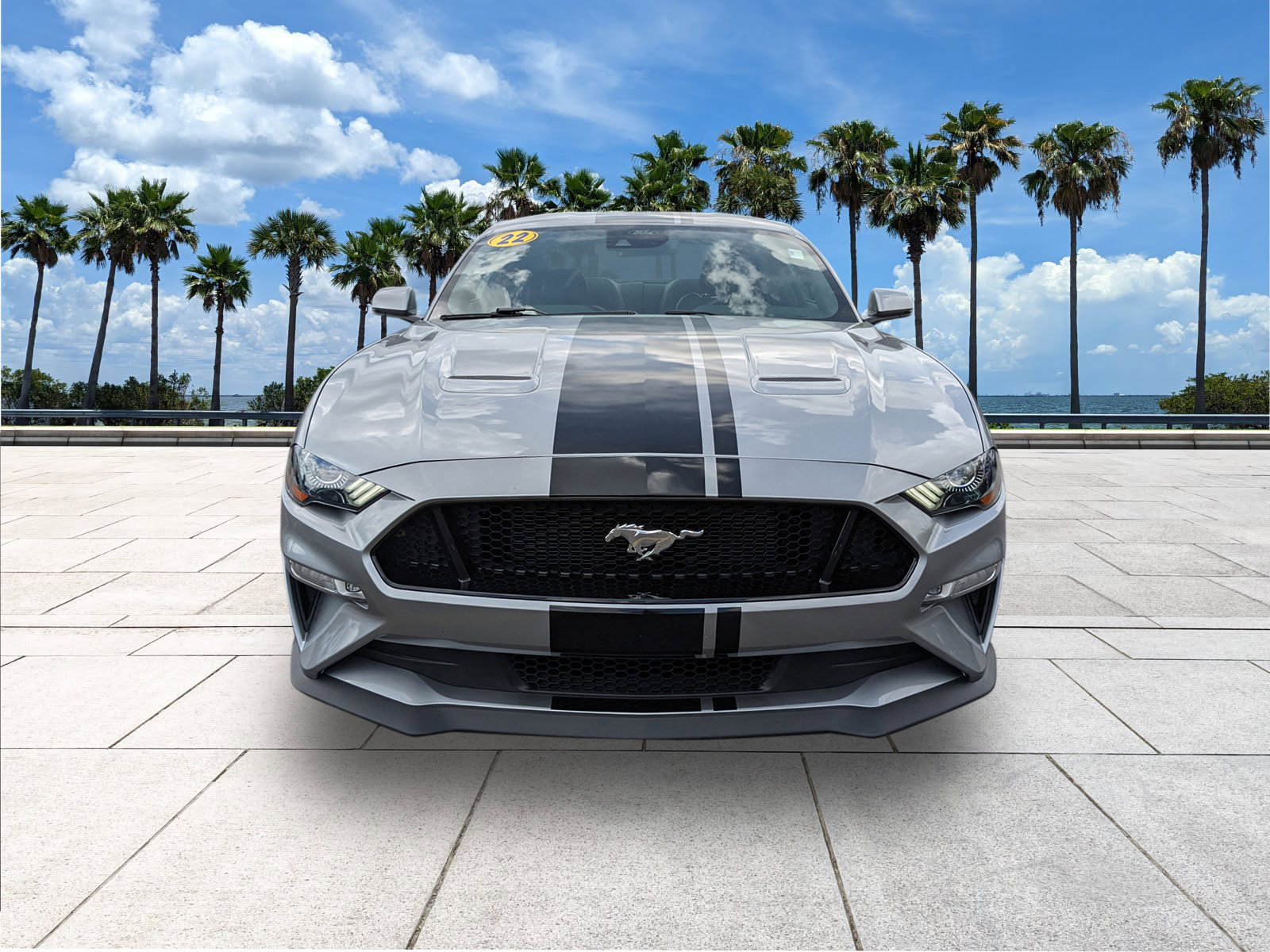 2022 Ford Mustang GT Premium photo 3