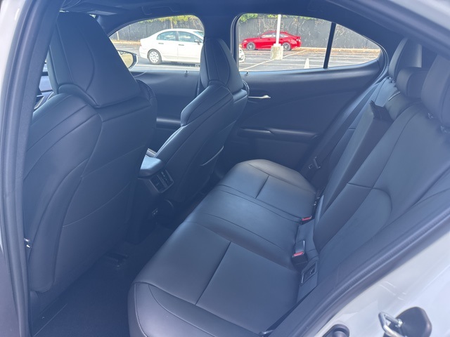 2024 Lexus UX 250h F SPORT Handling photo 6