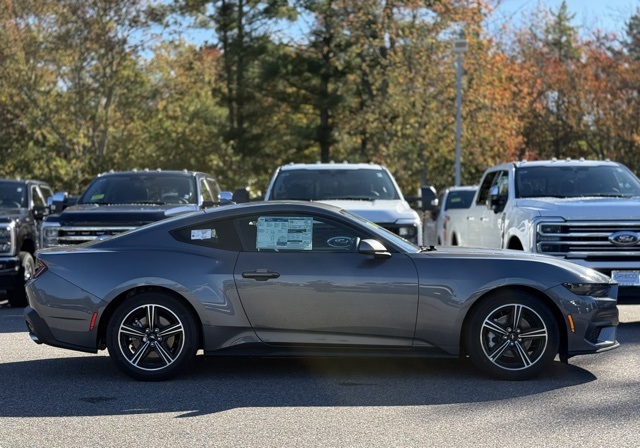 2025 Ford Mustang EcoBoost photo 3