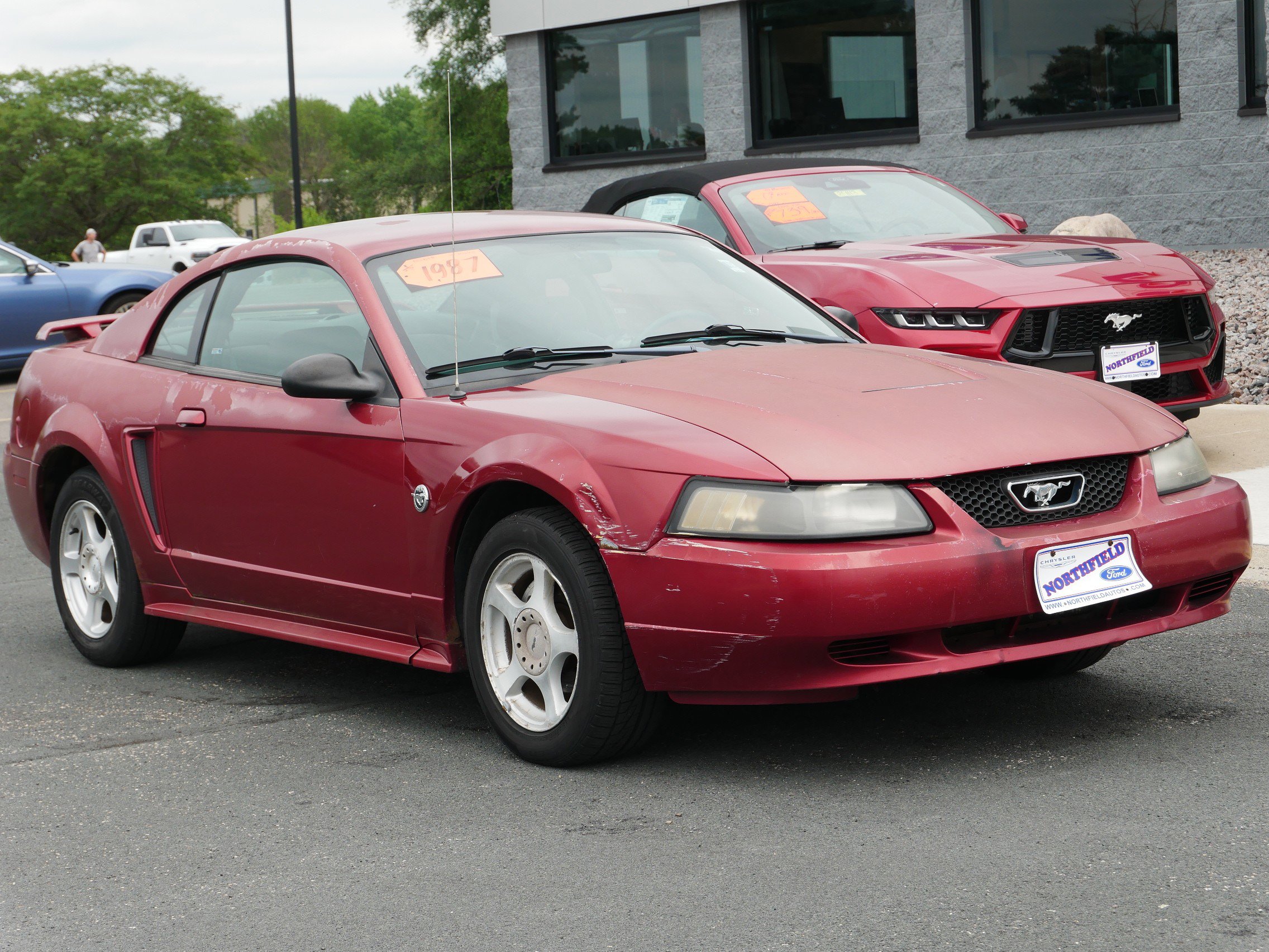 Used 2004 Ford Mustang Standard with VIN 1FAFP40454F101205 for sale in Northfield, Minnesota