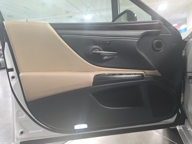 2019 Lexus ES 350 photo 9