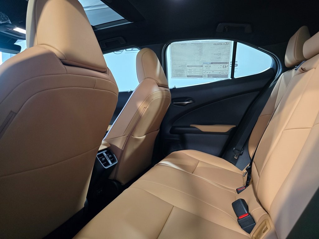 2025 Lexus UX photo 22
