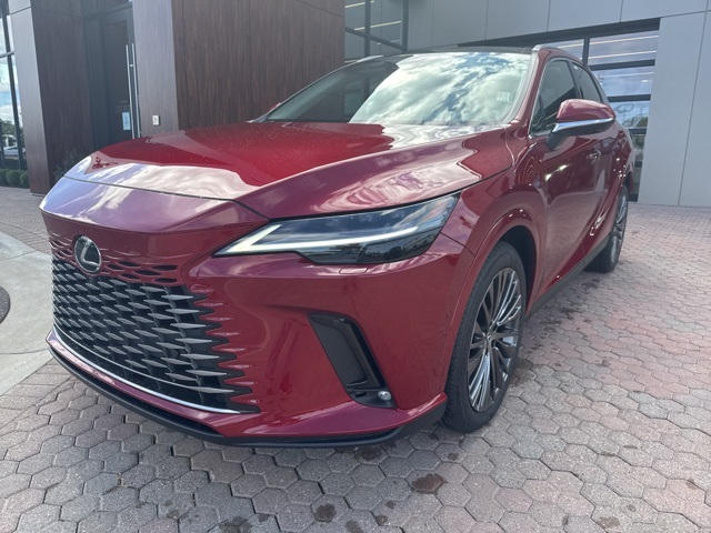 2025 Lexus RX 350 Luxury photo 17