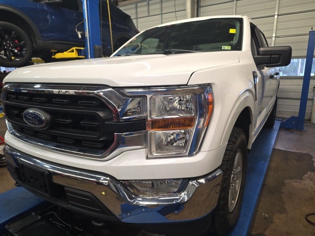 2021 Ford F-150 XLT's photo