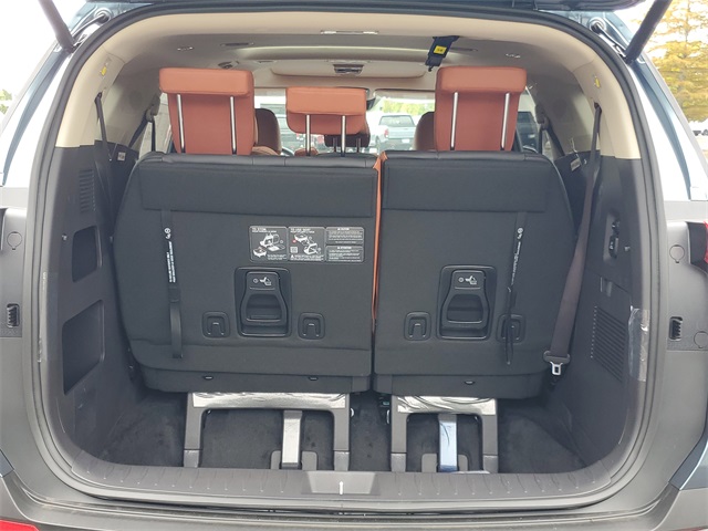 2026 Kia Carnival SX photo 8