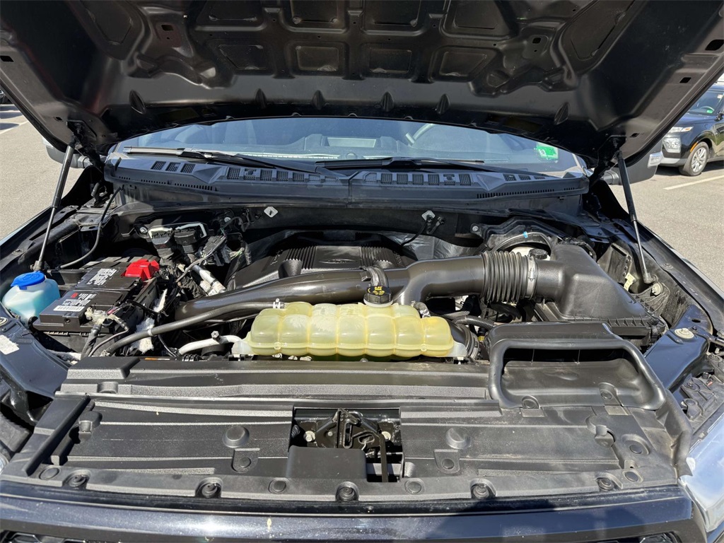 2019 Ford F-150 XL photo 12