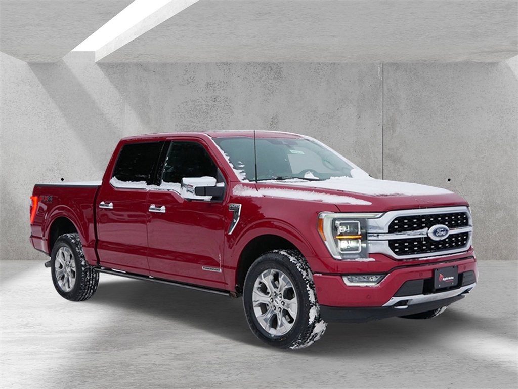 2021 Ford F-150 Platinum's photo
