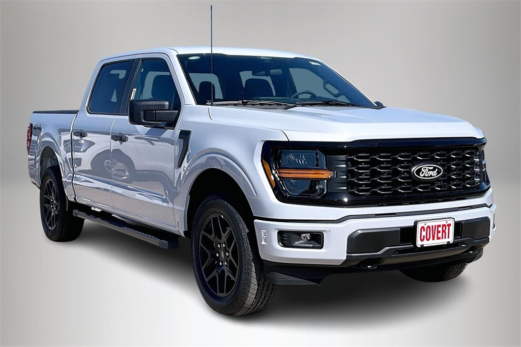 2025 Ford F-150 STX's photo