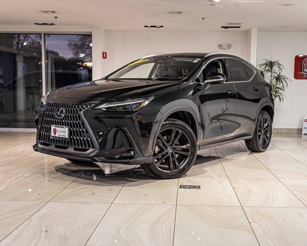 2025 LEXUS NX - Image 1