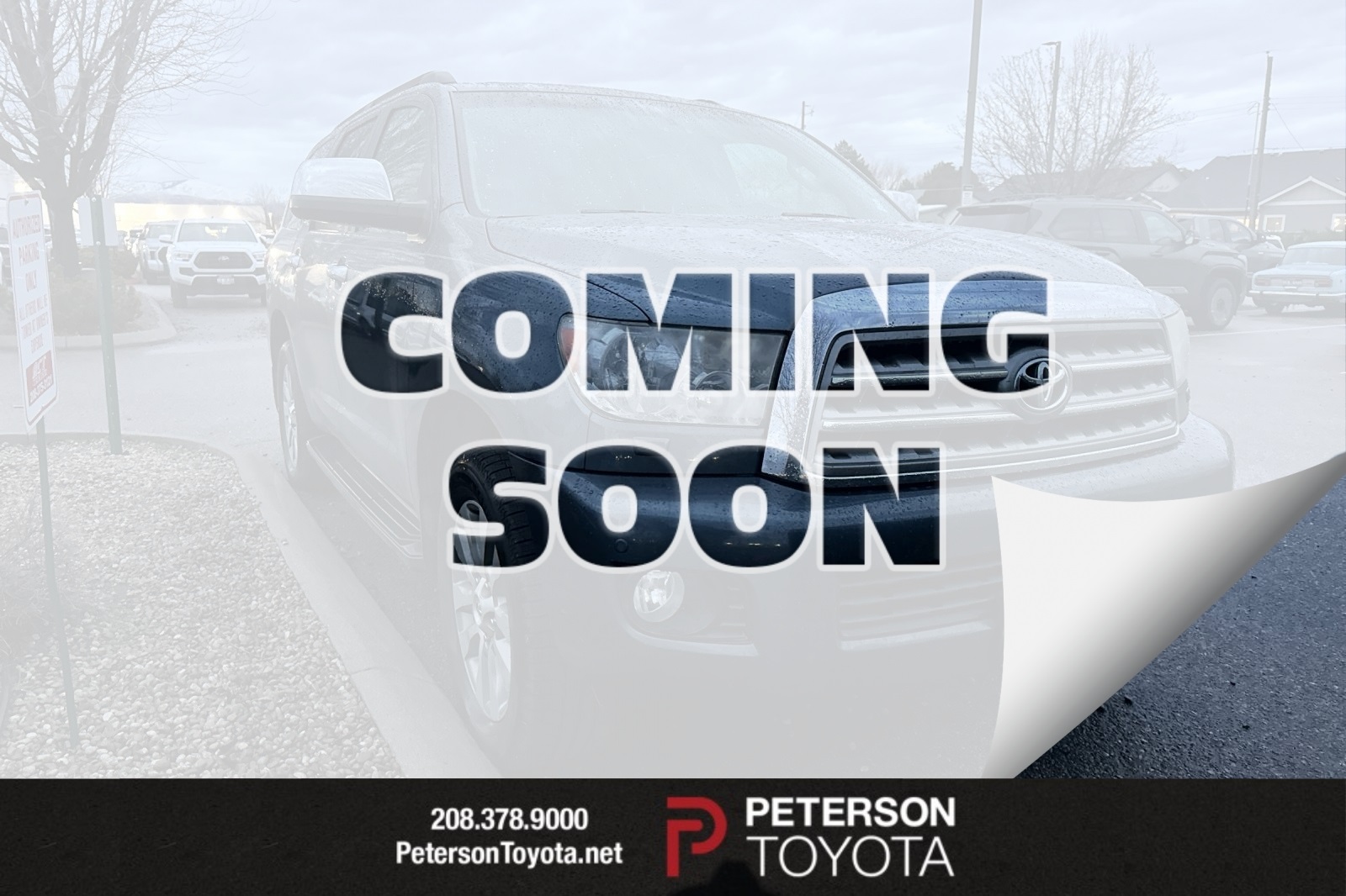 2010 Toyota Sequoia Limited's photo