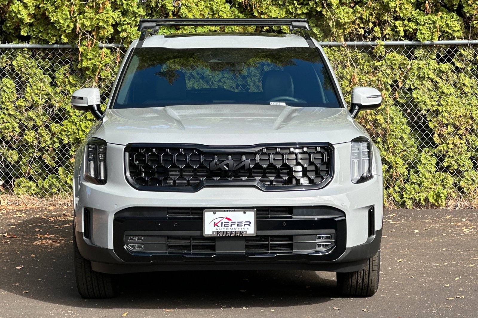 2025 Kia Telluride SX X-Line photo 5