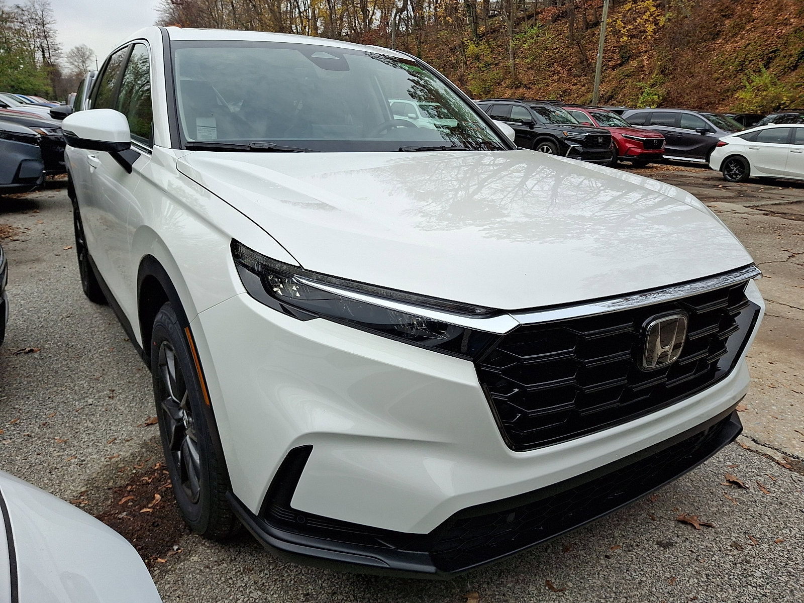 2026 Honda CR-V EX-L photo 3