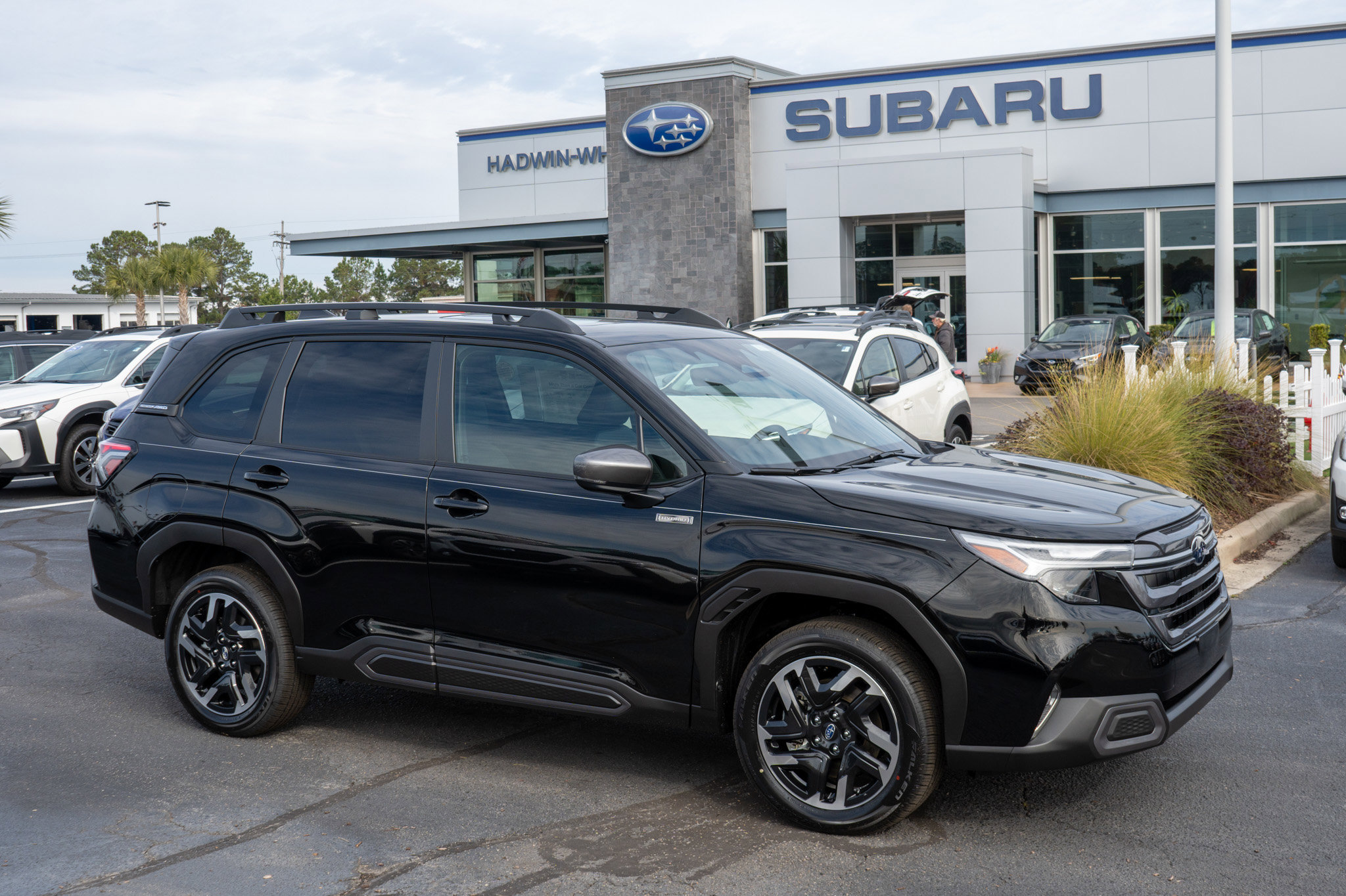 2025 Subaru Forester Limited's photo