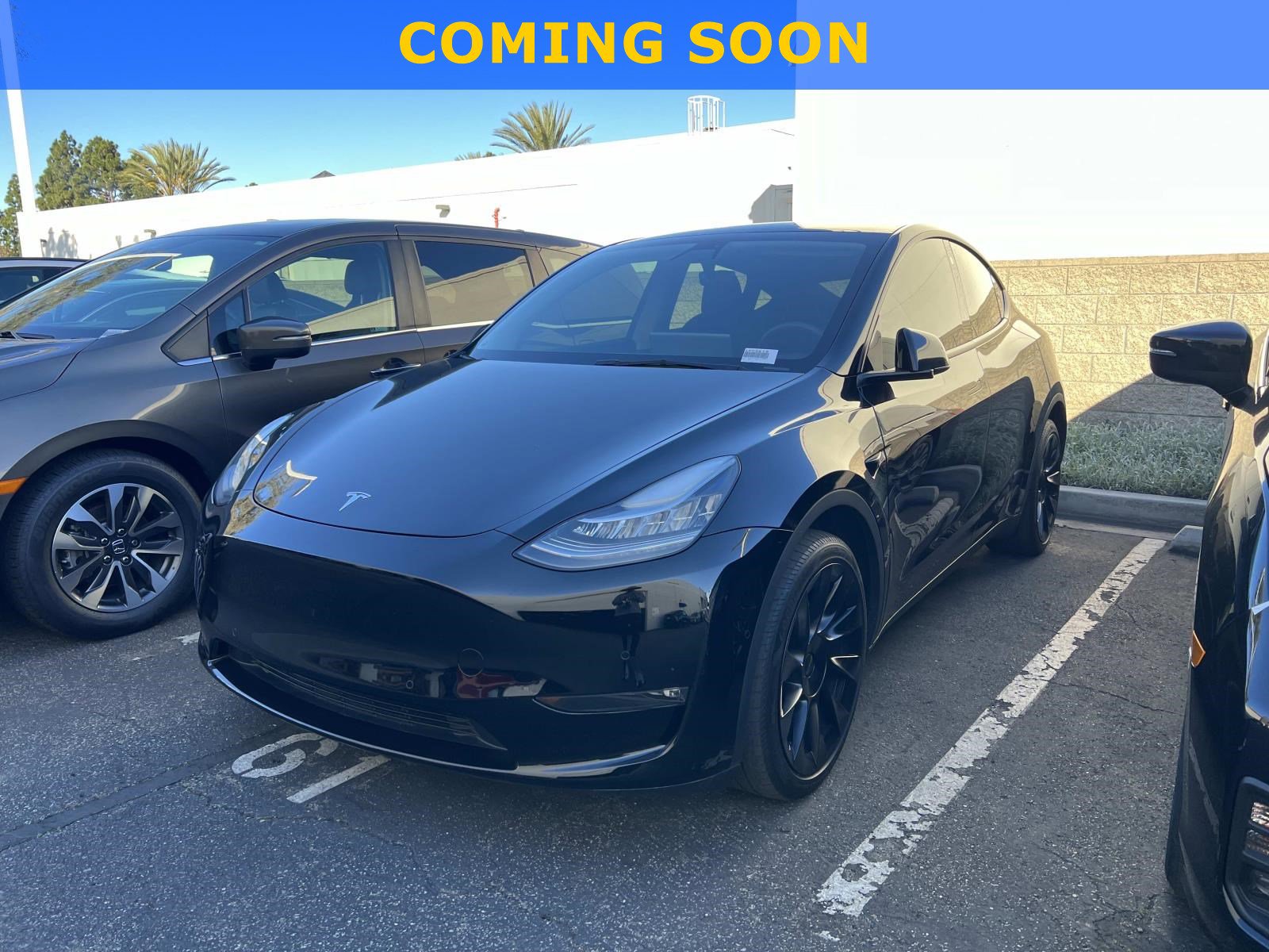 2022 Tesla Model Y Long Range's photo