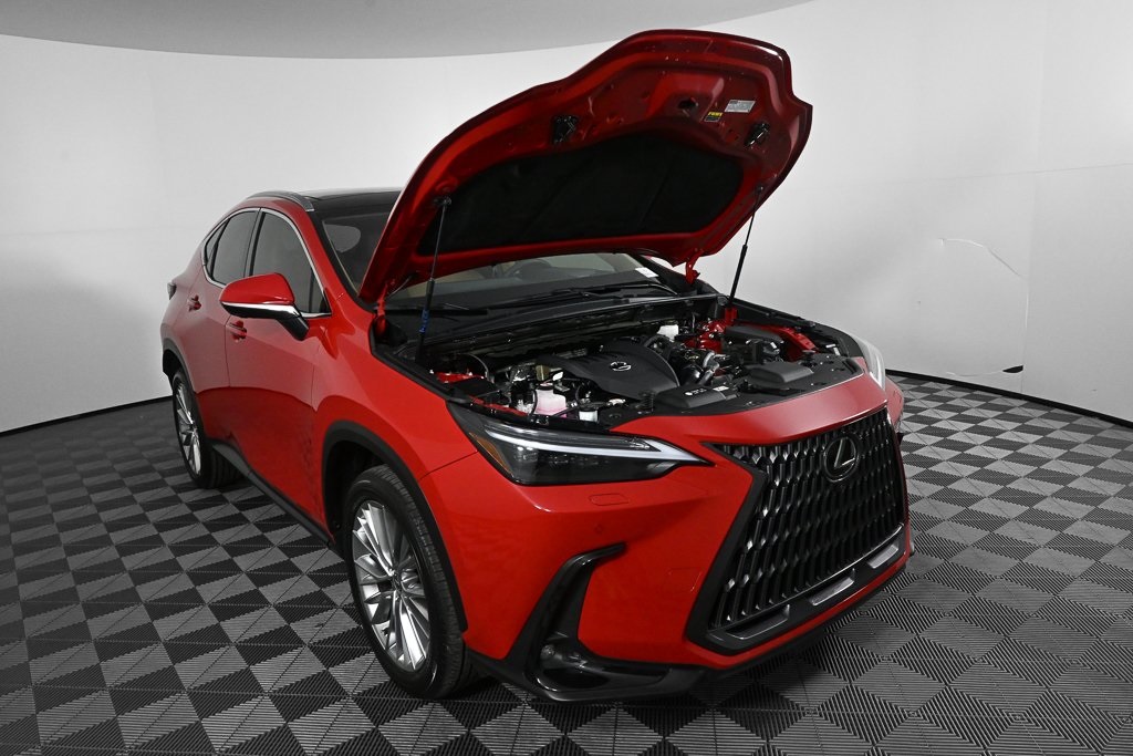 2024 Lexus NX 350 Luxury photo 31