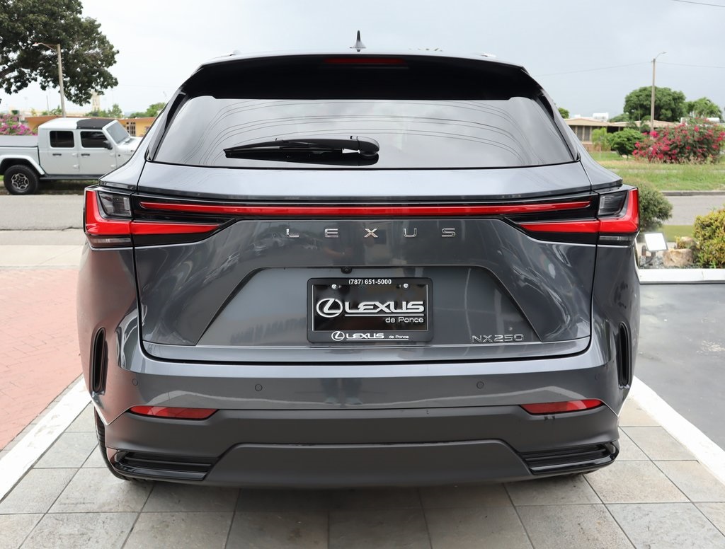 2025 Lexus NX 250 Premium photo 6