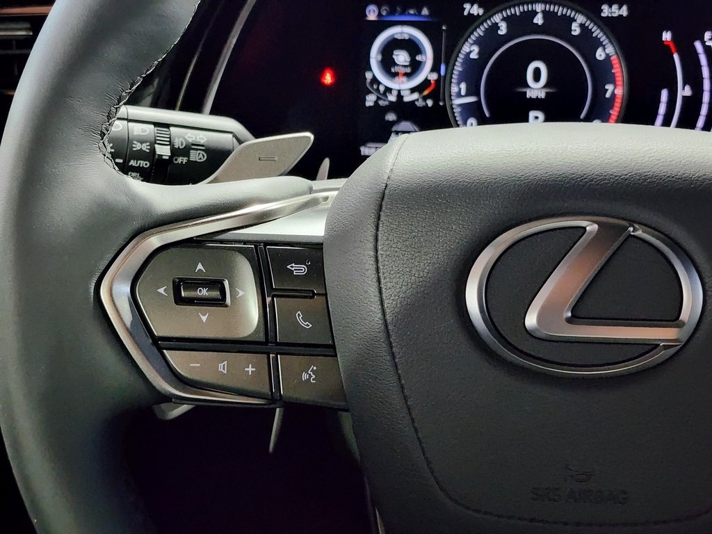 2025 Lexus RX 350 photo 13