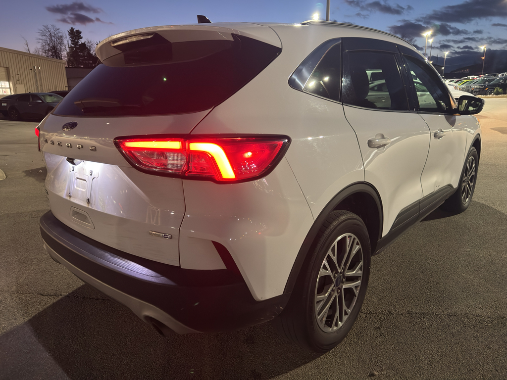 2020 Ford Escape SEL photo 3