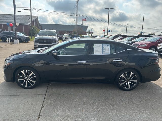 2023 Nissan Maxima SV photo 4