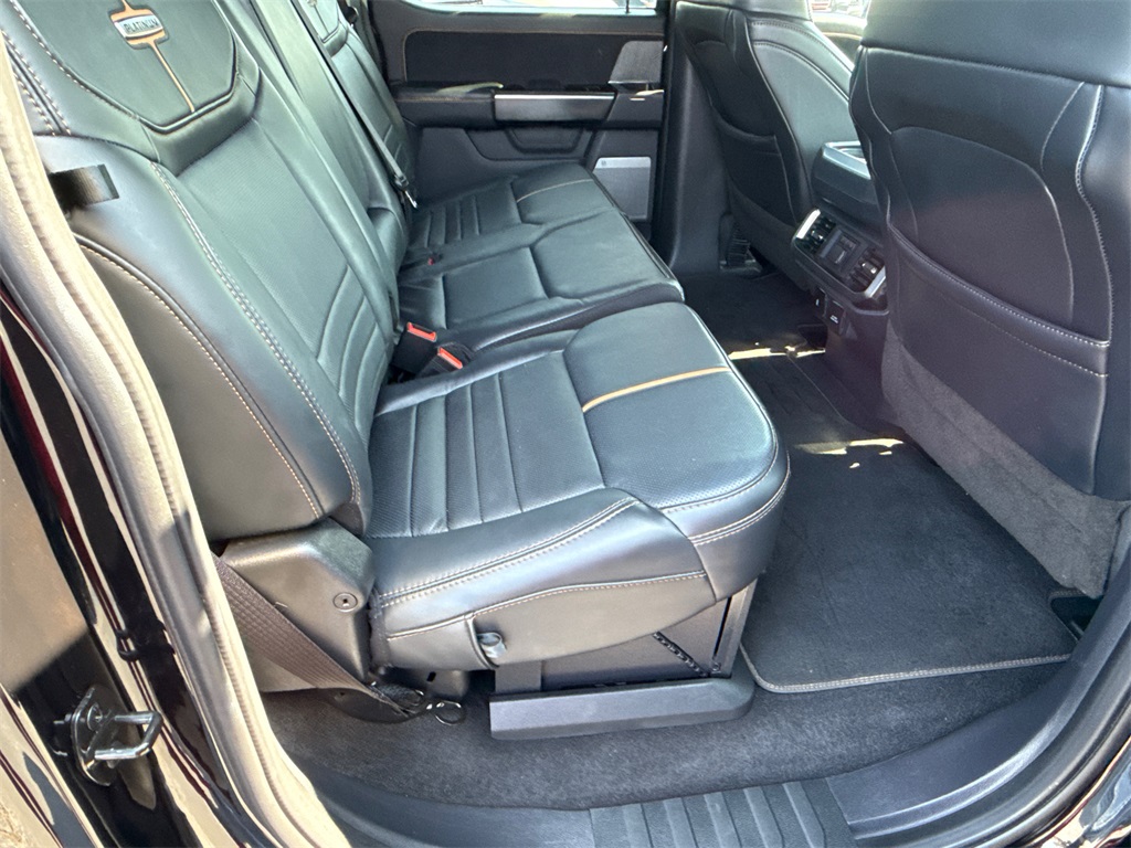 2023 Ford F-150 Platinum photo 15