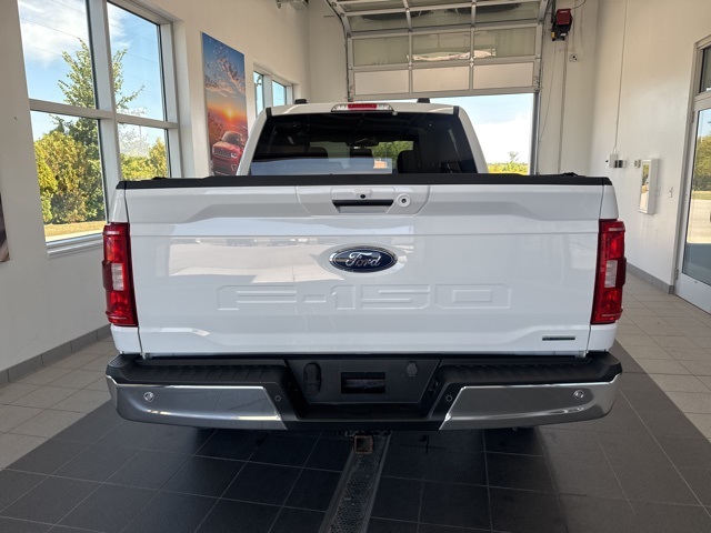 2023 Ford F-150 XLT photo 4