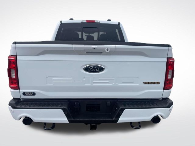 2023 Ford F-150 Tremor photo 4